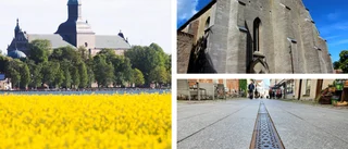 Så mycket får föreningarna från Riksantikvarieämbetet