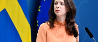 Svårt för svensk skog att bli EU-grön