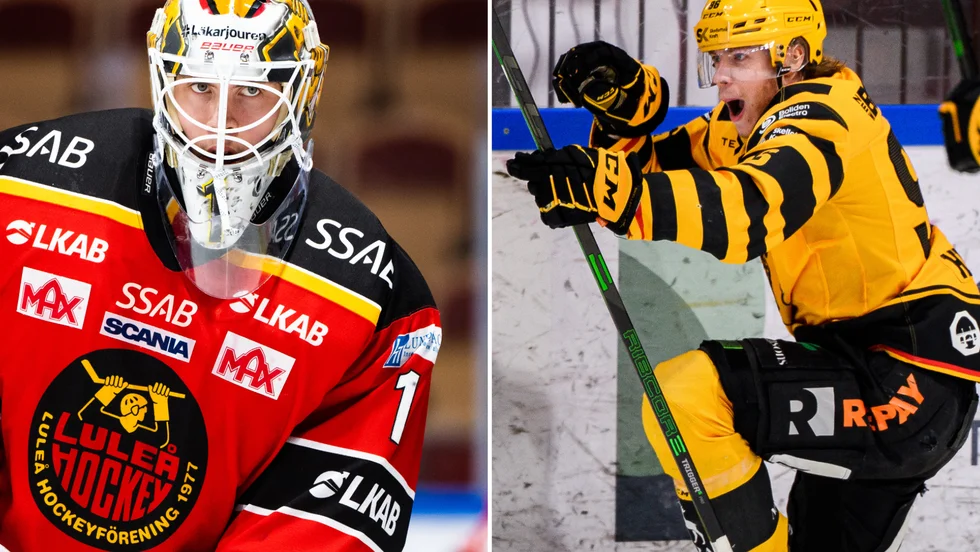 Wallstedt släppte in fyra mål – ett från Skellefteå AIK:s Rickard Hugg. 