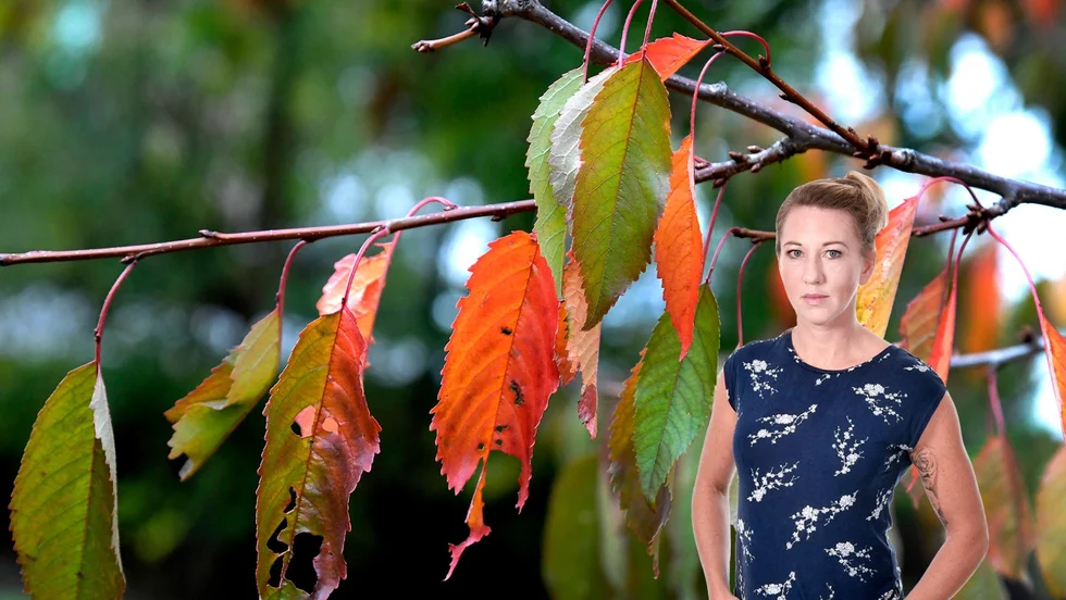 Krönikören skriver om hur kroppen reagerar och påverkas av yttre och inre stimuli.