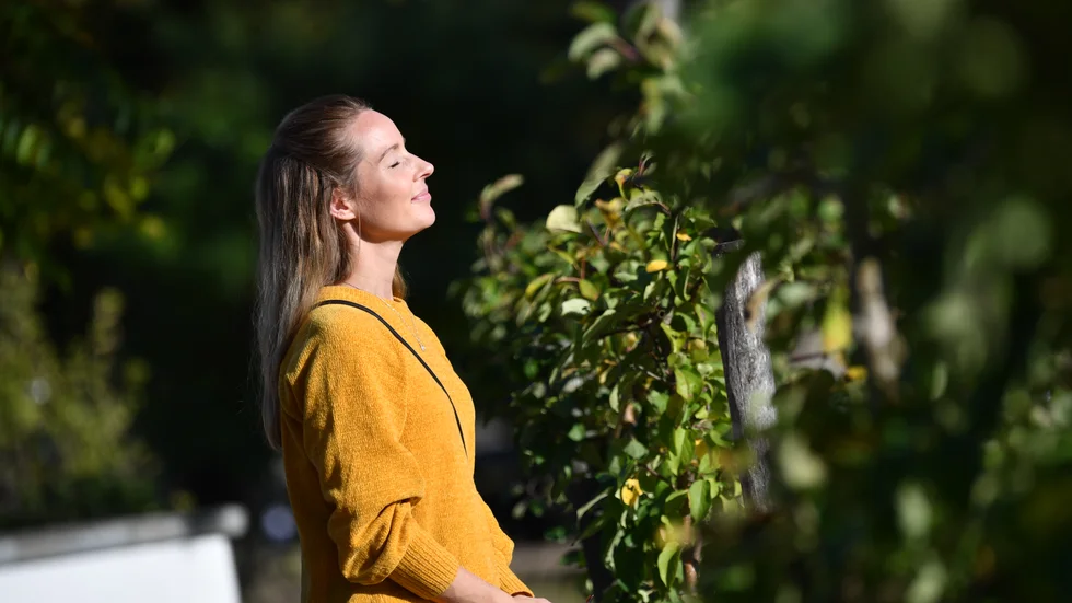 Under torsdagen ser vi ut att kunna njuta av solen!