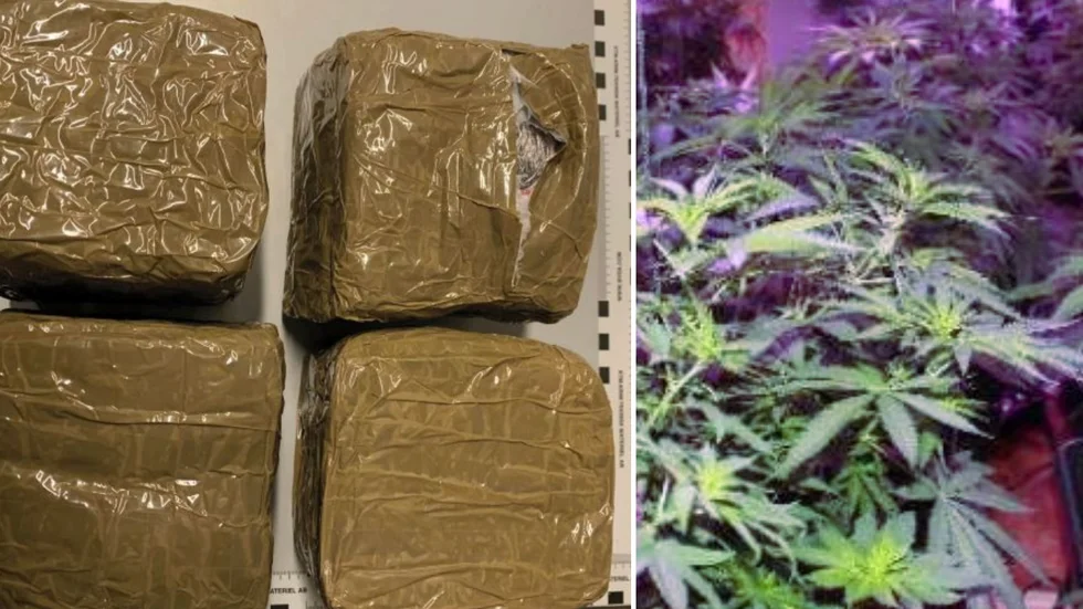 En man döms till fängelse för cannabisodling i stor skala i ett bostadshus i Heby kommun.
