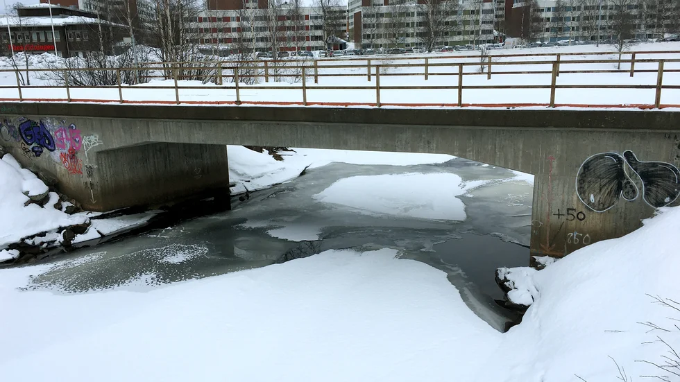"En promenad i vårvädret och inget passar bättre än att fotografera!" Det tycker Veronica Filipp.