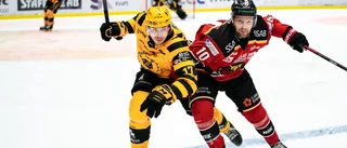”Svartgul bredd mot pånyttfödd björn – läge att våga röra om i grytan”