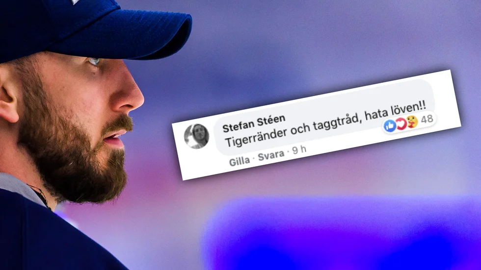 Stefan Stéen och hans hyllade Facebook-kommentar.
