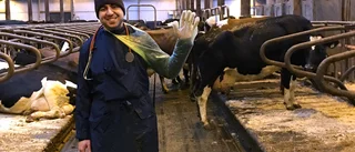 Veterinären Bahador går i väntans tider – kan inte lämna landet: "Desperat och ledsen"