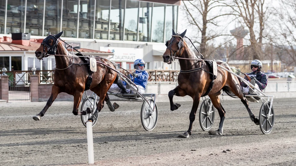 Stall Palts Art Brown avgör V75-3 från dödens till oddset 8,50.Favoriten Epimetheus tvingades sträcka vapen.