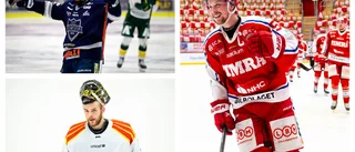 Måtte Jonathan Dahléns ord aldrig bli verklighet