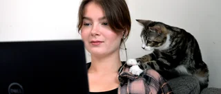Quiz: Hur många av veckans nyheter minns du?
