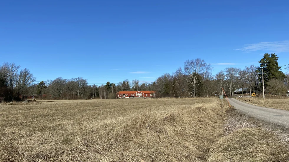Här, på åkermark i Gillbergsvik på Tureholmshalvön i Trosa kommun, vill markägaren Hvalfisken odla energiskog i form av poppel.