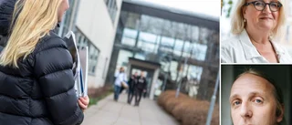 Känt namn dragplåster när Wisbygymnasiet startar stor demokratisatsning