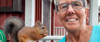 Kurrelina är tillbaka och äter från Karins hand