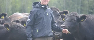 Hoppfullt kring årets skörd – så långt • Köttbonden Andreas Bergmark: ”Jag skulle vilja kalla det rekord” 