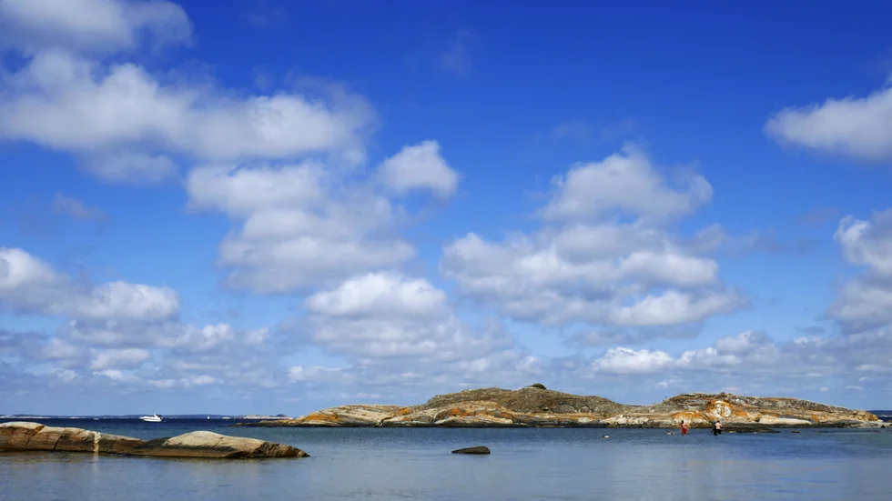 Blåskrabban har sedan några observerats på Västkusten. Syd-Koster i Bohuslän i Sverige. Arkivbild.