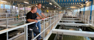 Flera steg för en mer hållbar Gotlandstrafik