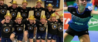Guldlagets drag: Värvar från Frankrike