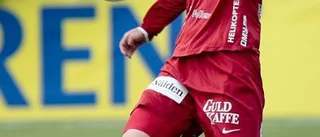 Länslaget blev för svårt för Piteådamerna