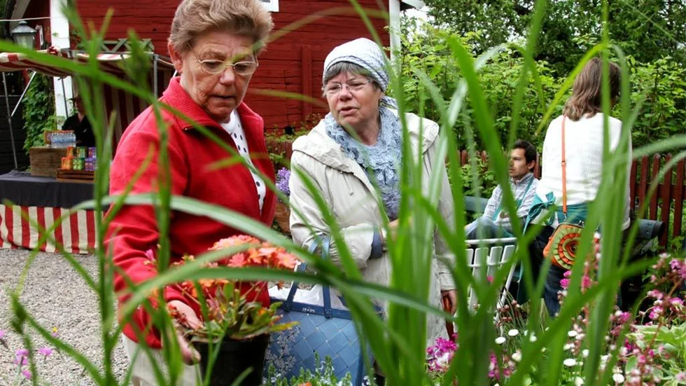 Barbro Hall och Nancy Svensson tillhörde trädgårdsdagens många besökare. Stenväxten väckte intresse.