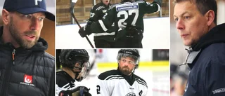 Nyckelspelare och tränare kliver av Sudrets HC