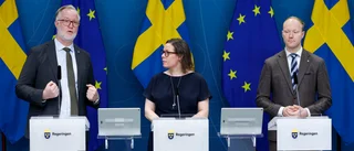 Gotland behöver utländsk kompetens
