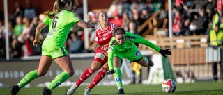 Talangen självsäker inför Piteås seriefinal: "Kan slå alla"