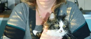 Hennes katt kom hem efter sex månader