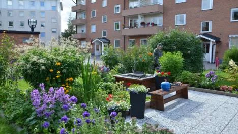 En blomstrande trädgård är resultatet av grannsamverkan i kvarteret Vassara.