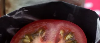 Odla din egen kylskåpstomat