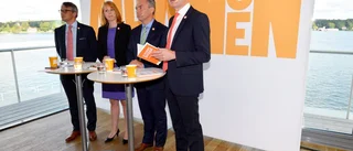Allvarliga Alliansen