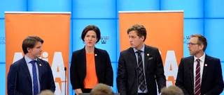 Överskuggar regeringen
