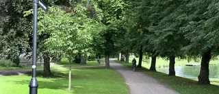 Mopedblottare slog till i Kanalparken