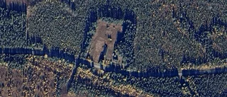 19-åring ny ägare till 50-talshus i Jörn – 180 000 kronor blev priset