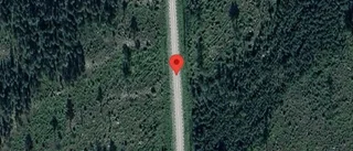 Problem i trafiken efter nedfallna träd på väg 573