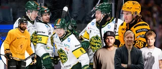 Panelen svarar om nyförvärvet – frälsare eller flopp?  