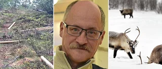Sametinget ska medla om konflikterna: "Kan inte ha det så här"