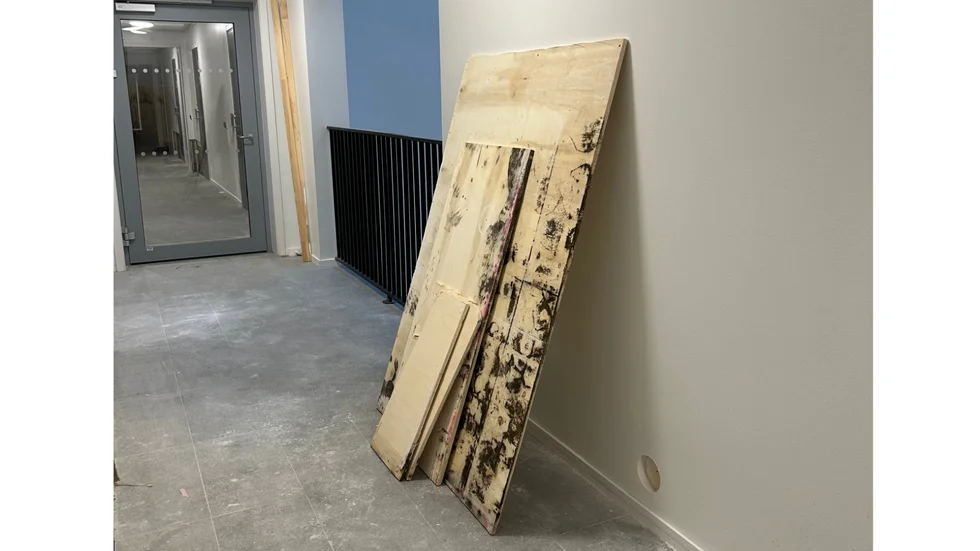 Svartmöglet på Kronan.