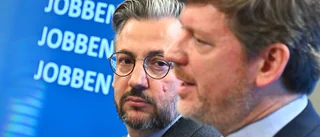 Varför får inte centern fler röster?