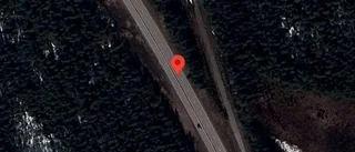 Trafikverket varnar för rådjur på vägen på E4