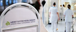 Sökes: Tusentals sommarjobbare i länet • Yrket med flest annonser
