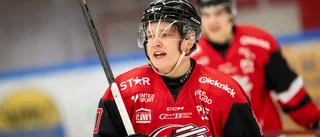 Liverapport: Piteå Hockey föll efter sent avgörande
