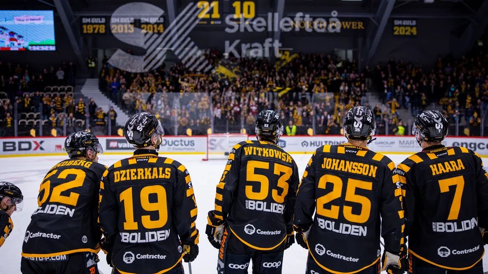 Skellefteå AIK-spelarna firar tillsammans med supportrarna. 