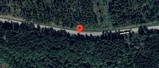 Stopp i trafiken efter bilbrand på väg 732