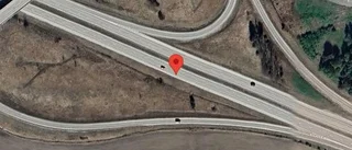 Älg på E20 vid Svista – Trafikverket varnar