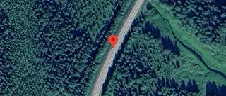 Varning för renar på vägen på väg 98