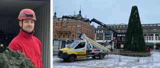 JUL NU: Här sätts stora granen upp på torget – Filip fixar grenar