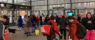 Störningar i tågtrafiken – signalfel utanför Uppsala