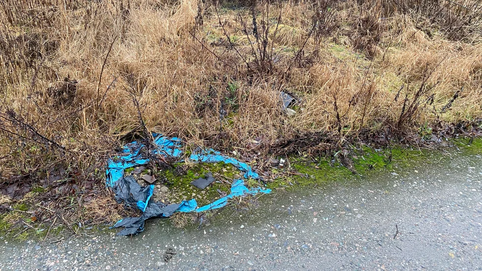 Naturen har börjat ta tillbaka området, men de dumpade byggsoporna syns fortfarande.