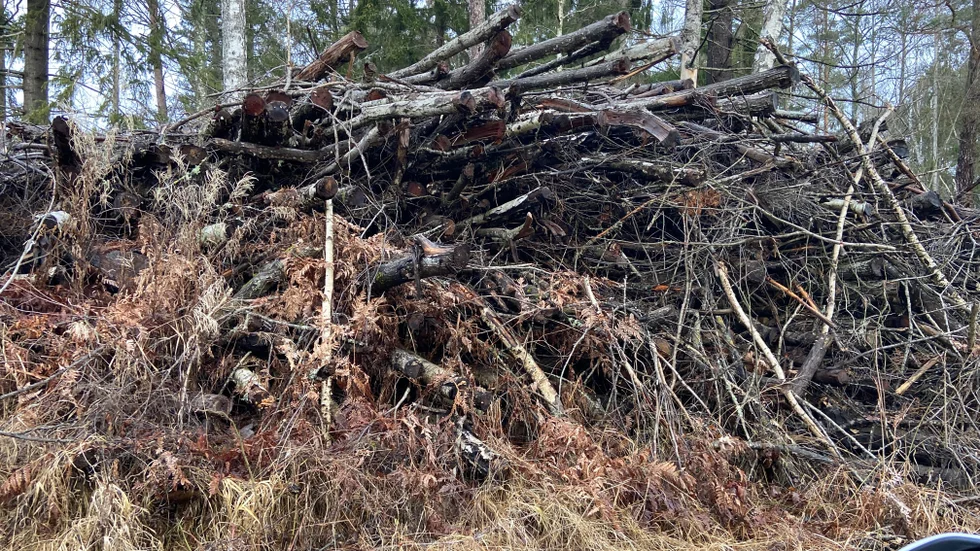 Ett timmerupplag – eller en rishög – ska vara en av anledningarna till att en vägsamfällighet kopplat in Kronofogden.