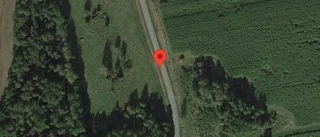 Nedfallna träd påverkar trafiken på väg 504