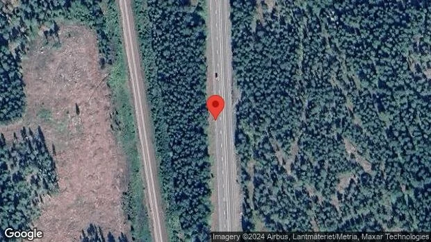 Nedfallna träd påverkar trafiken på väg 55